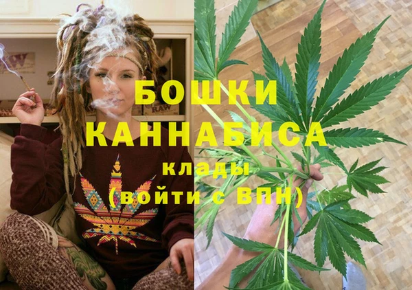 ПСИЛОЦИБИНОВЫЕ ГРИБЫ Наволоки