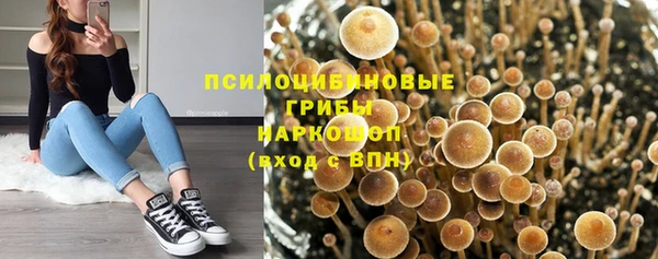 кокс Михайловск