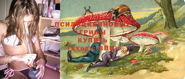 гидропоника Надым