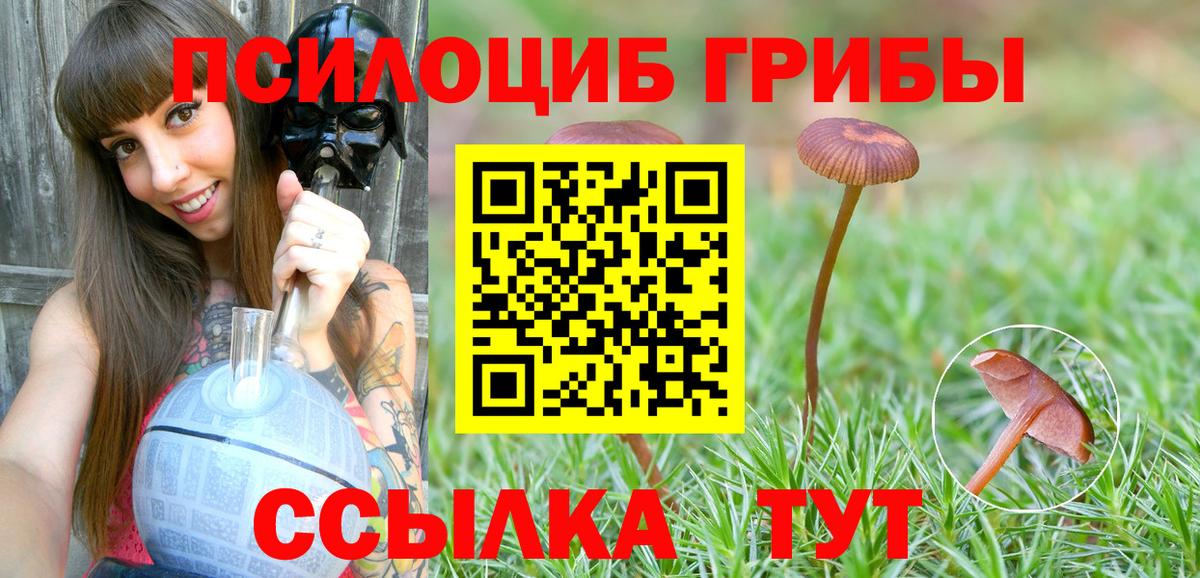 Псилоцибиновые грибы прущие грибы  Вход с VPN  Арзамас 