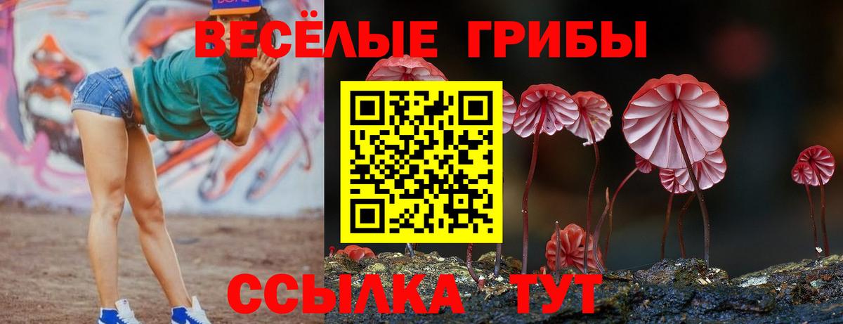 Галлюциногенные грибы мухоморы Арзамас